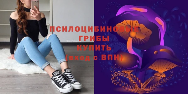прущая мука Алзамай