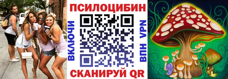 где купить наркоту  Собинка  Галлюциногенные грибы мицелий 
